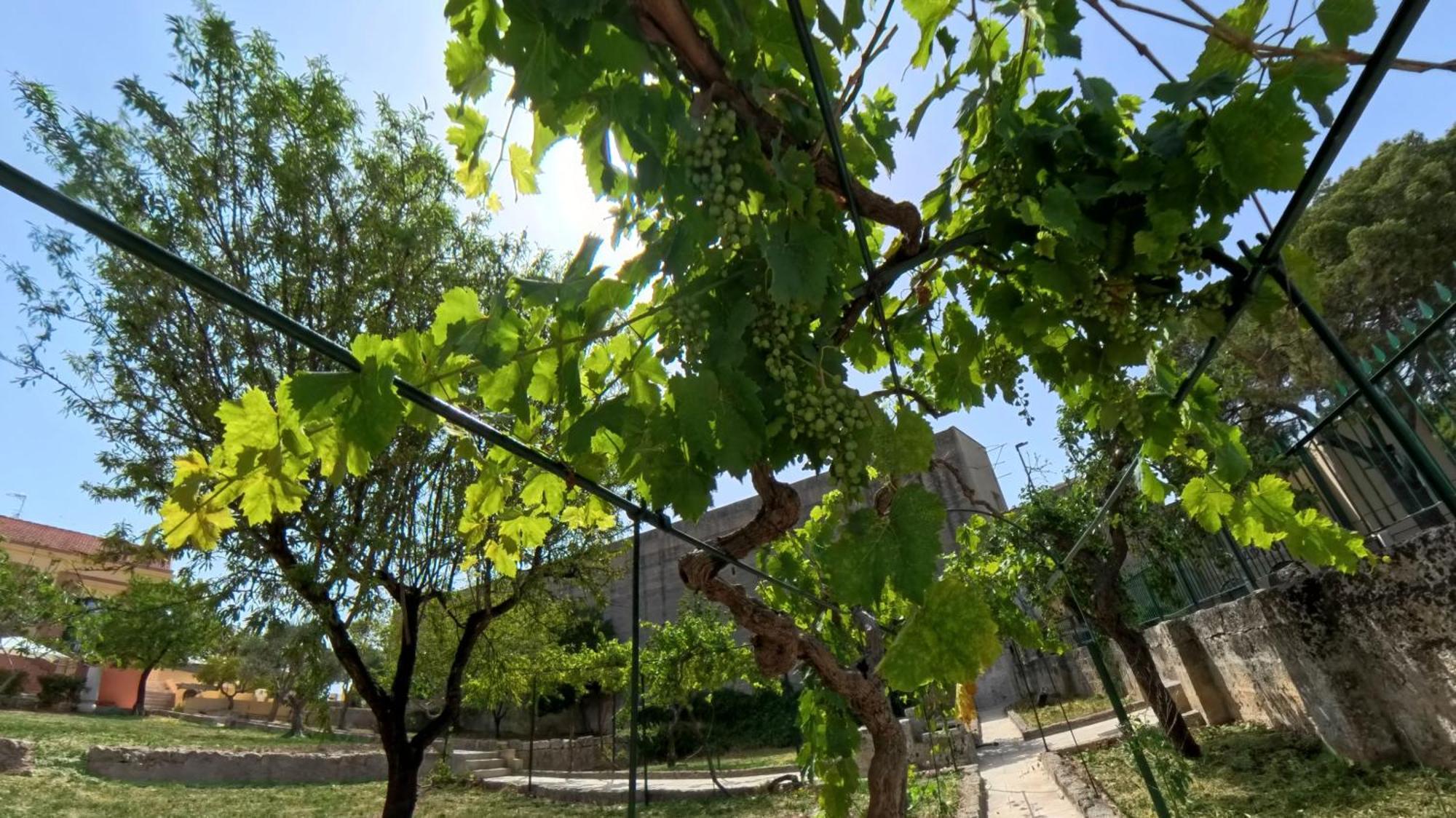 Villa Sine Tempore Fumarola Matera Kültér fotó